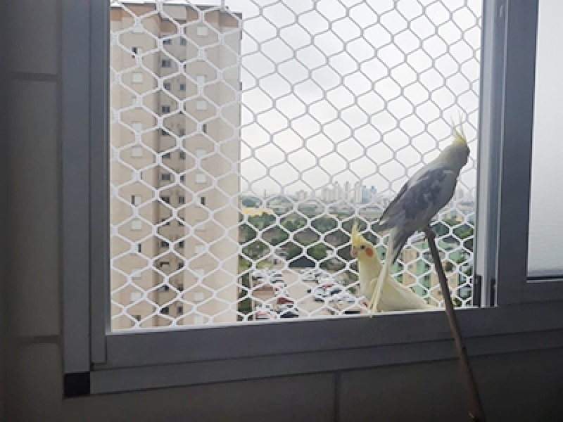Fornecedor de Rede de Proteção para Pássaros Vila Matilde - Rede de Proteção para Obras em Grande São Paulo
