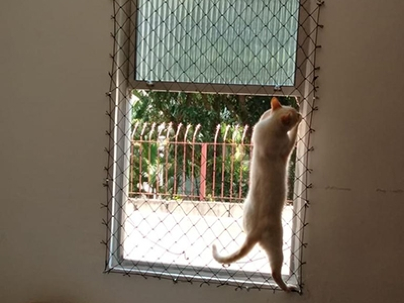 Instalação de Rede Proteção Muro Gatos Itaquera - Rede de Proteção Transparente para Gatos