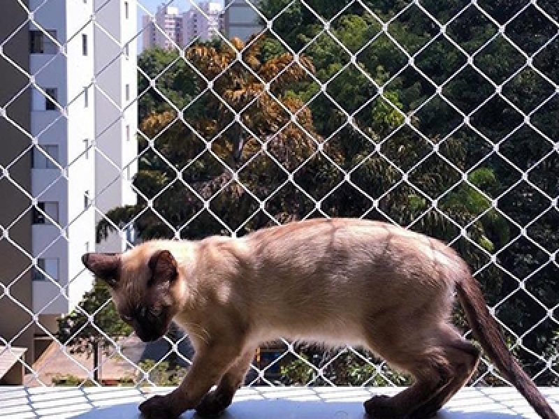Telas de Proteção para Cachorro Retráteis São Bernardo do Campo - Tela Protetora Cachorro