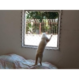 cotação de tela proteção janela gatos Franco da Rocha