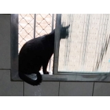 instalação de rede de proteção transparente para gatos Ipiranga