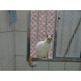 proteção com telas para gato orçamento Moema Índios