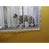 rede de proteção para gatos janela Morumbi